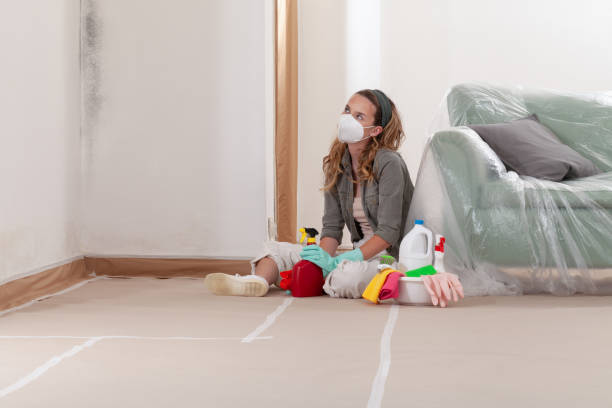 Reliable Mold Cleanup contractor in Freeburg, IL by WQB Mold Removal